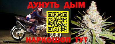 гидропоника Бийск