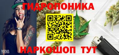 гидропоника Бийск