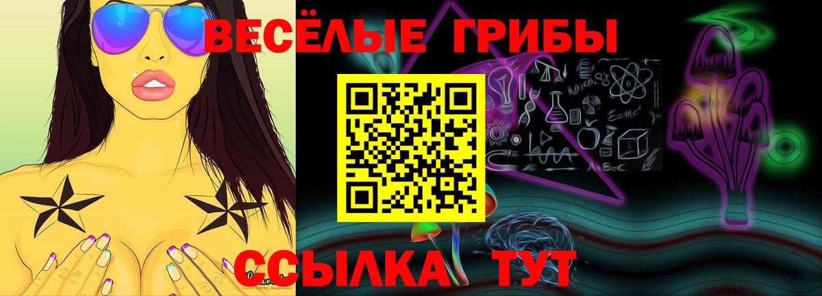 Псилоцибиновые грибы Psilocybe  Вход с VPN  Вольск  Псилоцибиновые грибы мухоморы 